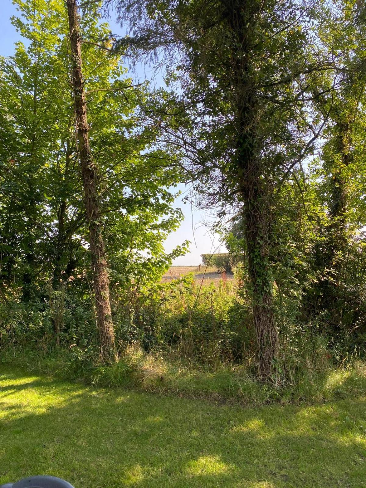 Villa Kildare Countryside Pods Exterior foto